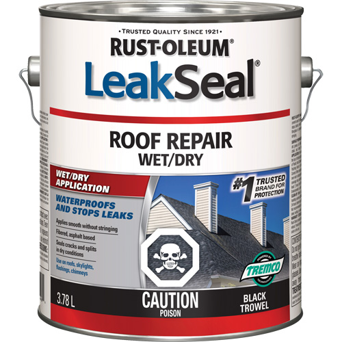 LeakSeal&reg; Wet/Dry Roof Repair Sécurité Médic