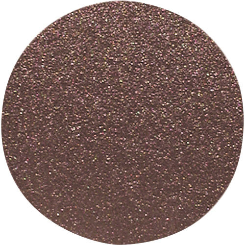 Wood Sanding Disc, 12" Dia., 100 Grit Sécurité Médic