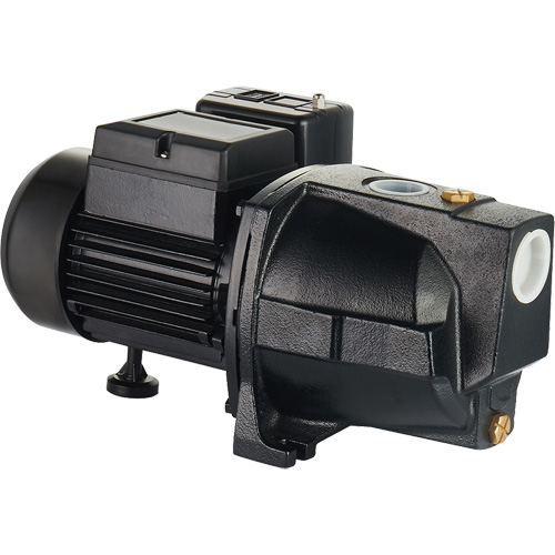 Dual Voltage Cast Iron Shallow Well Jet Pump, 115 V/230 V, 1100 GPH, 1 HP Sécurité Médic