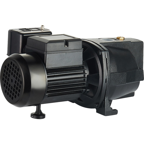 Dual Voltage Cast Iron Shallow Well Jet Pump, 115 V/230 V, 1100 GPH, 1 HP Sécurité Médic