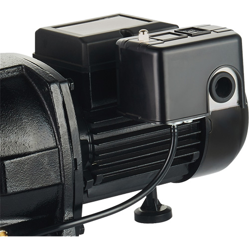 Dual Voltage Cast Iron Shallow Well Jet Pump, 115 V/230 V, 1100 GPH, 1 HP Sécurité Médic