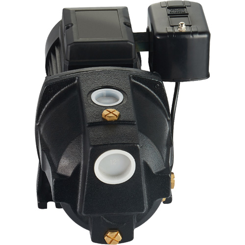 Dual Voltage Cast Iron Shallow Well Jet Pump, 115 V/230 V, 1100 GPH, 1 HP Sécurité Médic