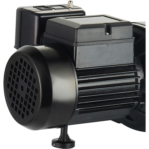 Dual Voltage Cast Iron Shallow Well Jet Pump, 115 V/230 V, 1100 GPH, 1 HP Sécurité Médic