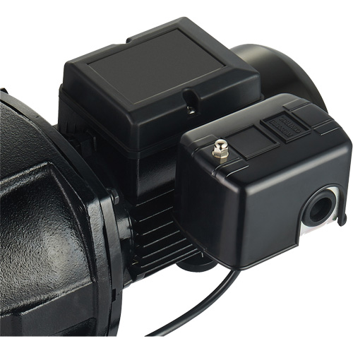 Dual Voltage Cast Iron Shallow Well Jet Pump, 115 V/230 V, 1100 GPH, 1 HP Sécurité Médic