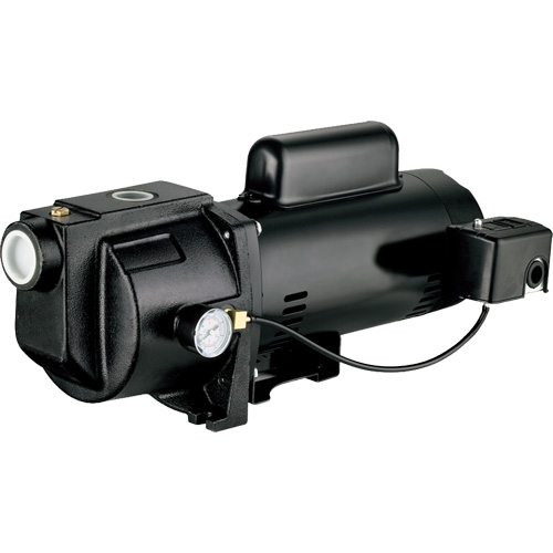 Dual Voltage Cast Iron Shallow Well Jet Pump, 115 V/230 V, 1260 GPH, 1 HP Sécurité Médic