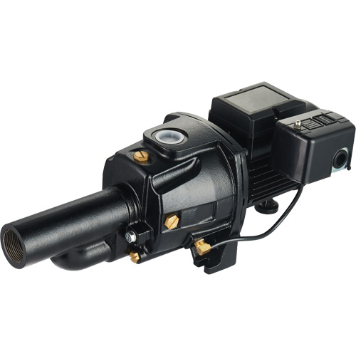 Dual Voltage Cast Iron Convertible Jet Pump, 115 V/230 V, 1100 GPH, 1/2 HP Sécurité Médic