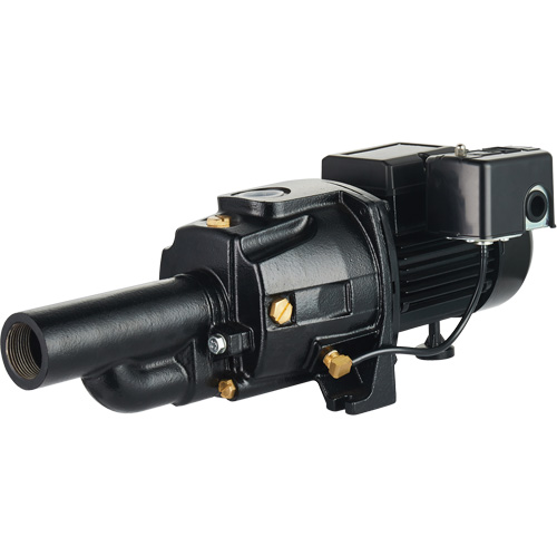 Dual Voltage Cast Iron Convertible Jet Pump, 115 V/230 V, 1100 GPH, 1/2 HP Sécurité Médic
