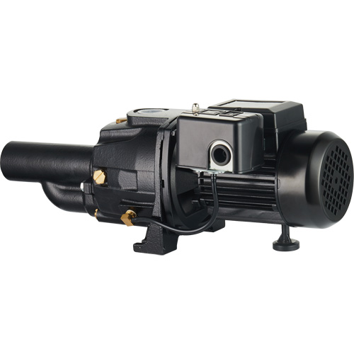 Dual Voltage Cast Iron Convertible Jet Pump, 115 V/230 V, 1100 GPH, 1/2 HP Sécurité Médic