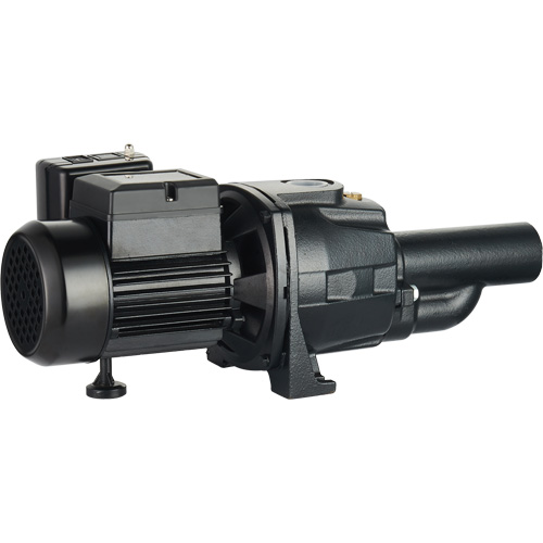 Dual Voltage Cast Iron Convertible Jet Pump, 115 V/230 V, 1100 GPH, 1/2 HP Sécurité Médic