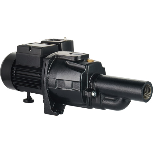 Dual Voltage Cast Iron Convertible Jet Pump, 115 V/230 V, 1100 GPH, 1/2 HP Sécurité Médic