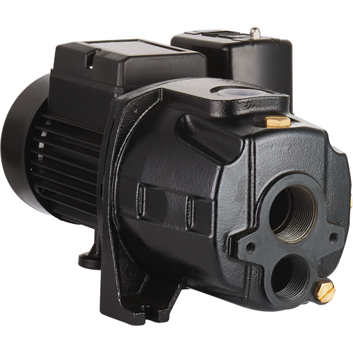 Dual Voltage Cast Iron Convertible Jet Pump, 115 V/230 V, 1100 GPH, 1/2 HP Sécurité Médic