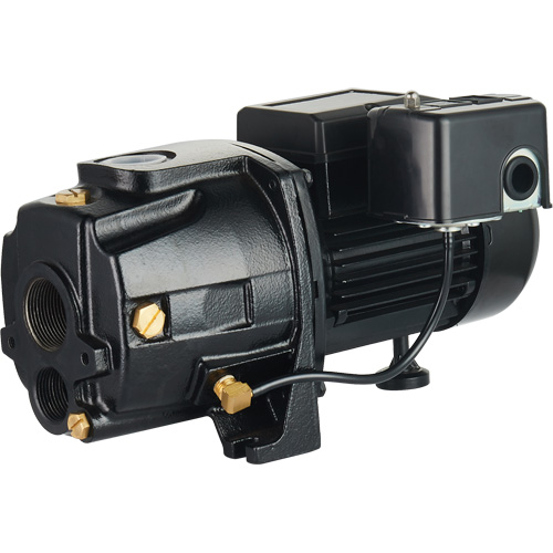 Dual Voltage Cast Iron Convertible Jet Pump, 115 V/230 V, 1100 GPH, 1/2 HP Sécurité Médic