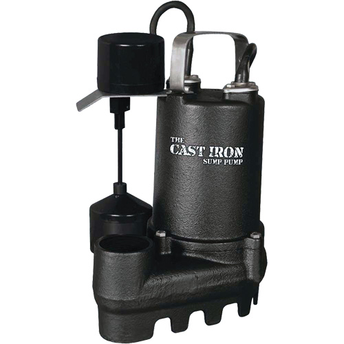 Cast Iron Submersible Sump Pump with Vertical Float Switch, 67 GPM, 33 V, 5 A, 1/3 HP Sécurité Médic