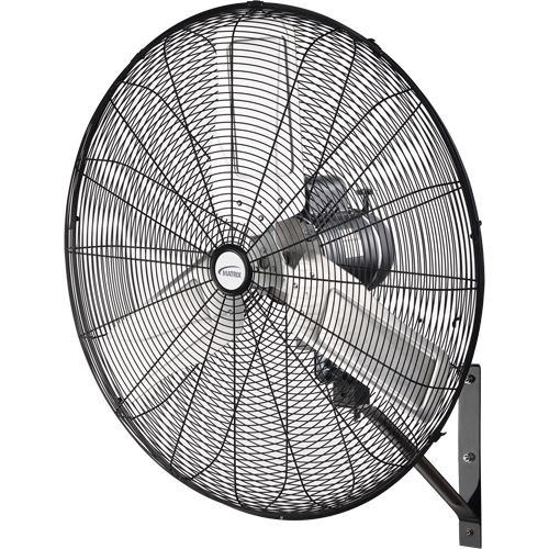 Oscillating Wall Fan, Industrial, 2 Speed, 30" Diameter Sécurité Médic