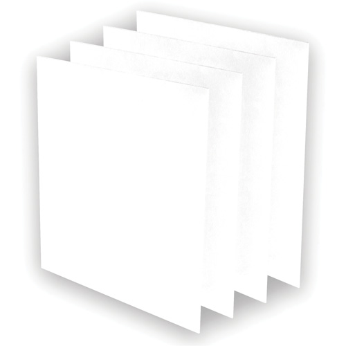 AeraMax&reg; Pro AM3 or AM4 Pre-Filters, 13.75" W x 0.13" D x 14.38" H Sécurité Médic