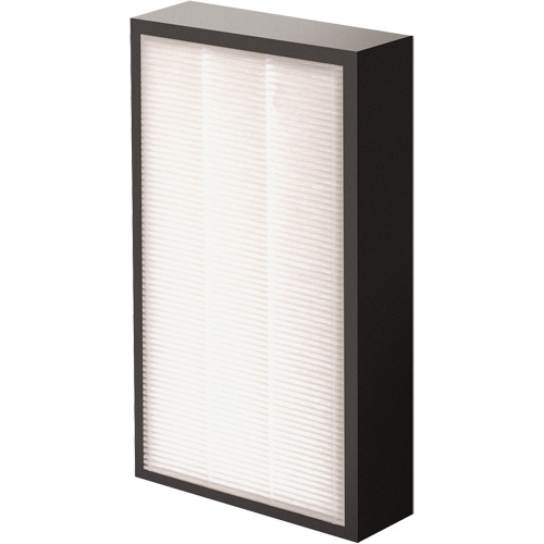 AeraMax&reg; Pro AM2 1-3/4" True HEPA Filter, Box, 7.38" W x 1.88" D x 12.88" H Sécurité Médic