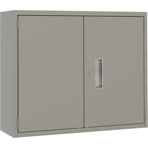 Armoire murale, Acier, 2 Tablettes, 30" h x 36" la x 12" P, Gris Sécurité Médic