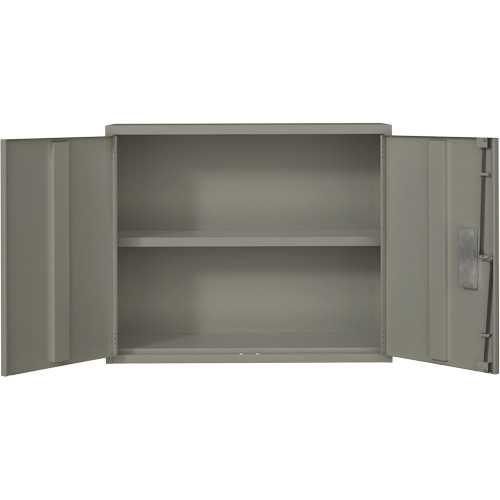Armoire murale, Acier, 2 Tablettes, 30" h x 36" la x 12" P, Gris Sécurité Médic