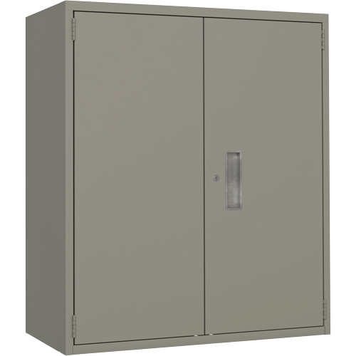 Armoire de rangement Lo-Boy, Acier, 2 Tablettes, 40" h x 36" la x 18" P, Gris Sécurité Médic