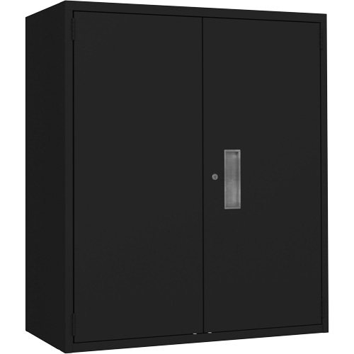 Armoire de rangement Lo-Boy, Acier, 2 Tablettes, 42" h x 36" la x 18" P, Noir Sécurité Médic