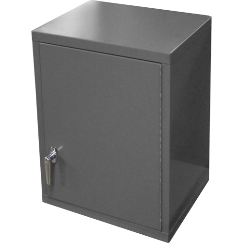 Wall-Mounted Cabinet, 27" H x 13-11/16" W x 18" D, 2 Shelves, Steel, Grey Sécurité Médic