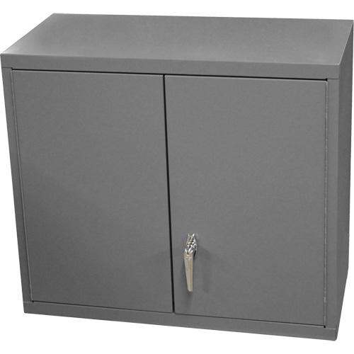 Armoire murale, 27" h x 13-11/16" la x 35-7/8" p, 2 tablettes, Acier, Gris Sécurité Médic
