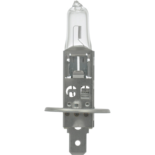 64155 Basic Automotive Bulb, Halogen, 78 W, Off White Sécurité Médic