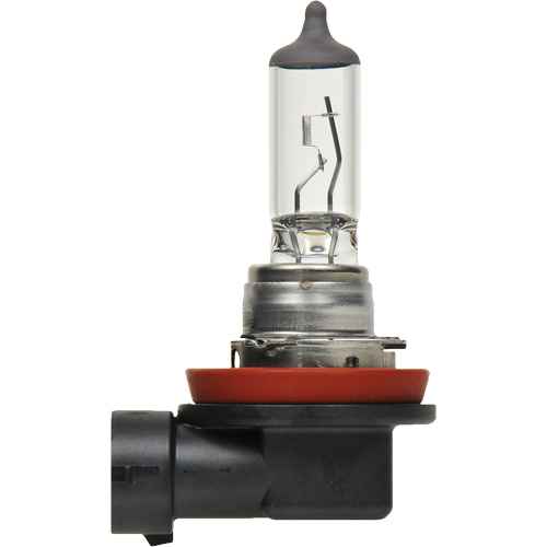 H8 Basic Headlight Bulb, Halogen, 35 W, Off White Sécurité Médic