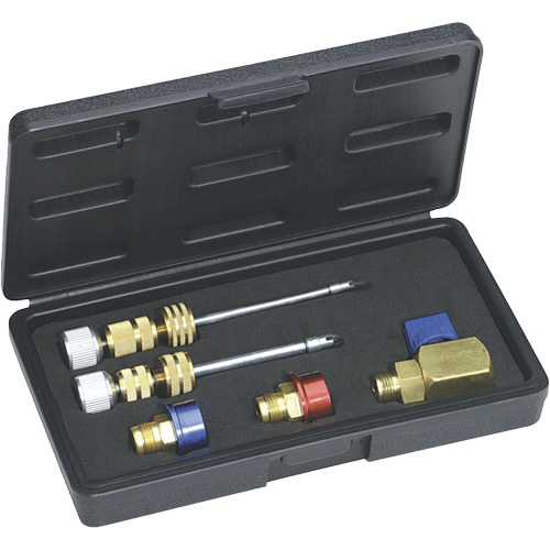Ensemble dobus de valve pour syst&egrave;mes R134a standards et JRA (M6) Sécurité Médic