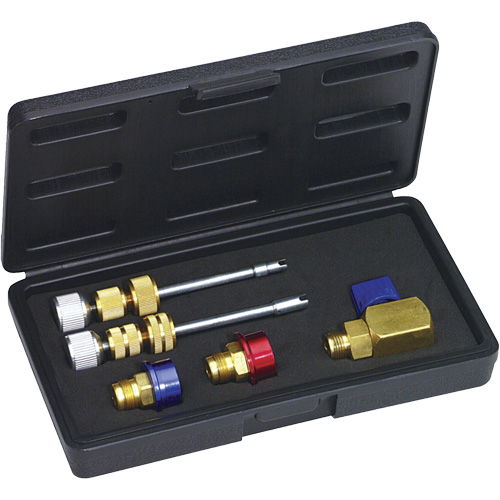 R134a Eaton (M8 & M10) Valve Core Kit Sécurité Médic