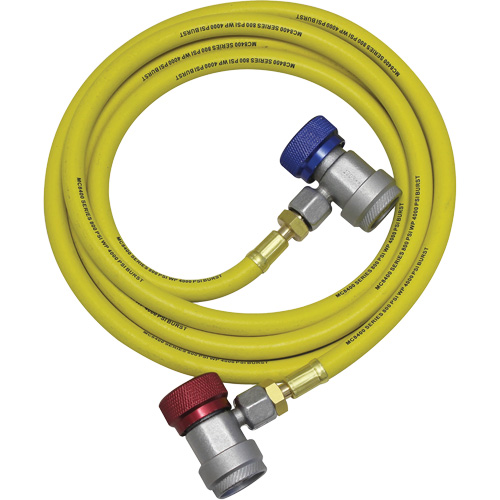 R134a A/C System Flush Hose Assembly Sécurité Médic