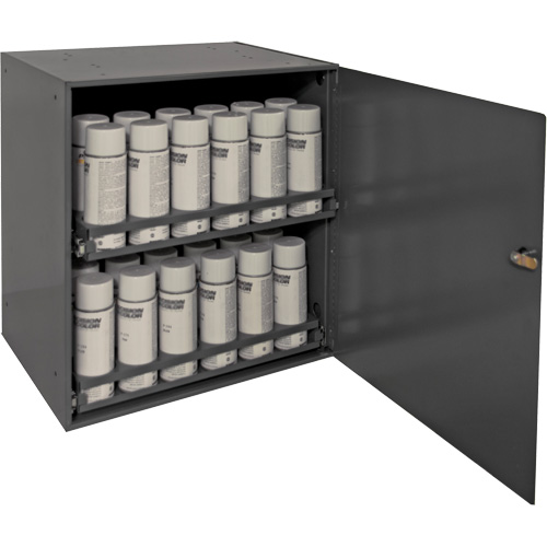 Aerosol Storage Cabinet, Steel, 21-7/8" H x 15-15/16" W x 20-5/16" D, Grey Sécurité Médic