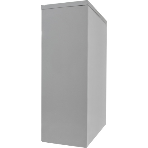 Counter-High Storage Cabinet, Steel, 2 Shelves, 42" H x 36" W x 24" D, Grey Sécurité Médic