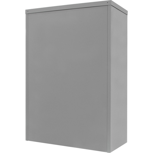 Counter-High Storage Cabinet, Steel, 2 Shelves, 42" H x 36" W x 24" D, Grey Sécurité Médic
