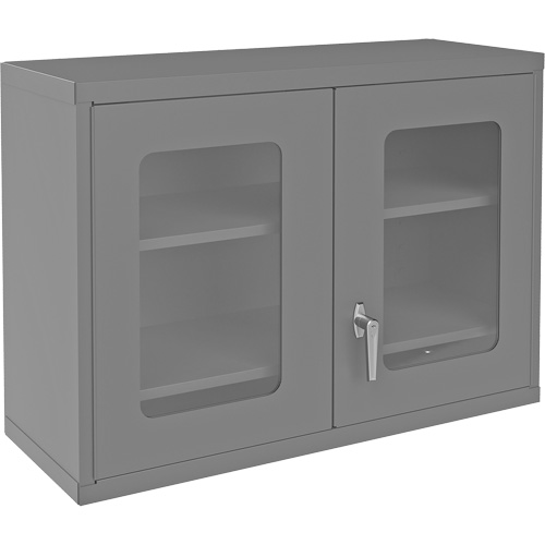 Wall-Mountable Storage Cabinet with Clearview Doors, 26-15/16" H x 35-7/8" W x 13-11/16" D, 2 Shelves, Steel, Grey Sécurité Médic