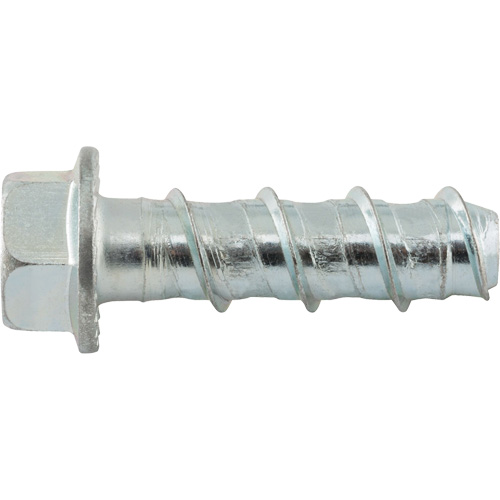 Wedge Bolts, Carbon Steel, 1/2" x 2" Sécurité Médic