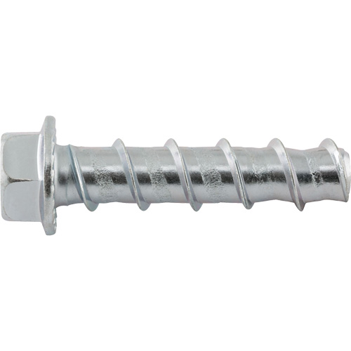 Wedge Bolts, Carbon Steel, 1/2" x 2-1/2" Sécurité Médic