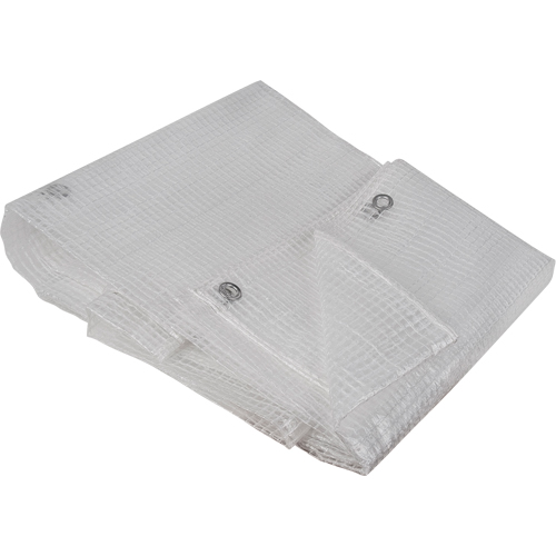 Clear Tarp, 12' x 10' x 8 mils Sécurité Médic