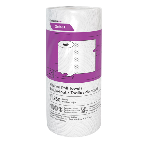 Pro Select Kitchen Towel Roll, 2 Ply, 250 Sheets/Roll, 8" W, 11" L Sécurité Médic