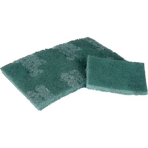 Scrubber Pad, 3" L x 4-1/2" W Sécurité Médic