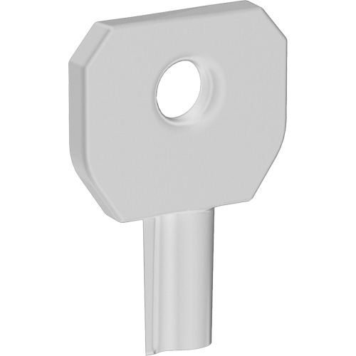 Cl&eacute; pour distributeur Lock or Not Sécurité Médic