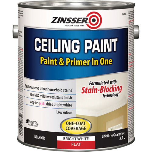 Ceiling Paint & Primer in One, White, Very Flat, 3.78 L, Gallon Sécurité Médic