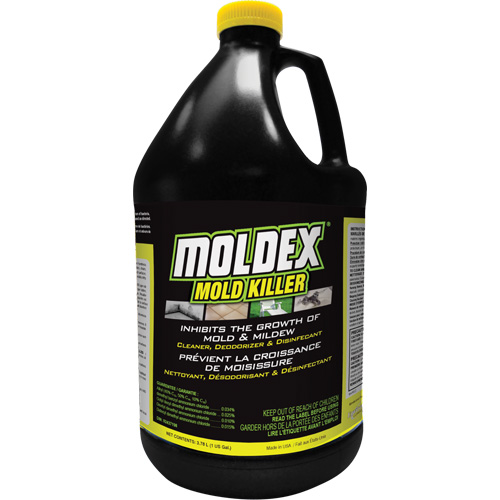 Moldex&reg; Mold Killer, 3.78 L, Jug Sécurité Médic
