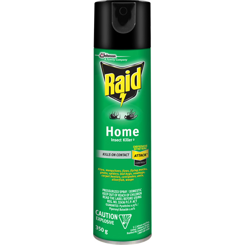 Insecticide pour insectes domestiques Raid, 350 g, &agrave; base de solvant Sécurité Médic