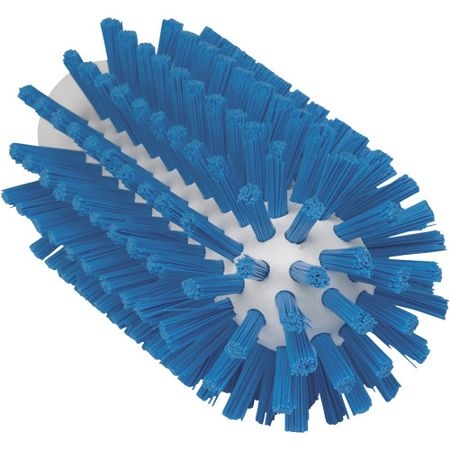 2.5" Brush, Stiff Bristles, 5-3/5" Long, Blue Sécurité Médic