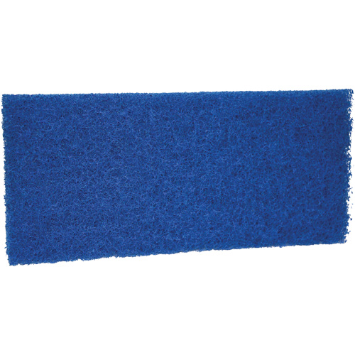 Medium Scrub Pad, 10" L x 4-1/2" W Sécurité Médic