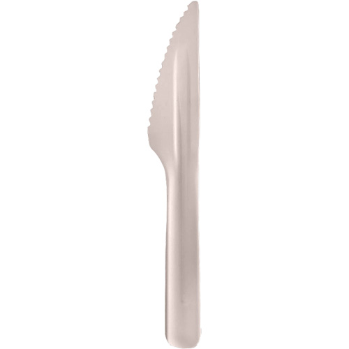 Bagasse Compostable Knives Sécurité Médic