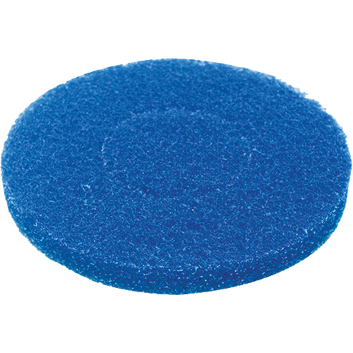Floor Pad, Cleaning, Blue Sécurité Médic