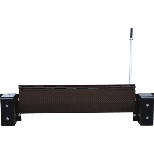 Mechanical Edge-O-Dock Leveler, 99" W, 72" Deck Width, 29" Span Sécurité Médic