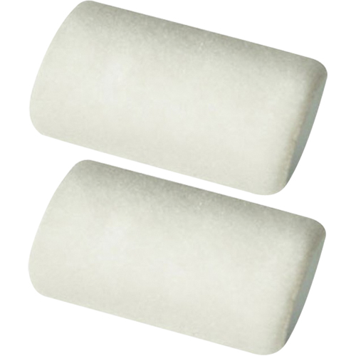 Professional Roller Sleeves, 6 mm (1/4") Nap, 101.6 mm (4") L Sécurité Médic